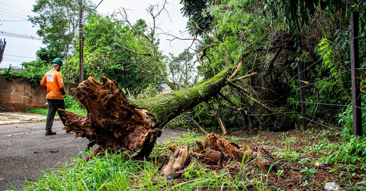 Riscos e Impactos da Exclusão de MEIs e Pequenas Empresas do Simples Nacional por Dívidas: Como Consultar e Evitar Problemas