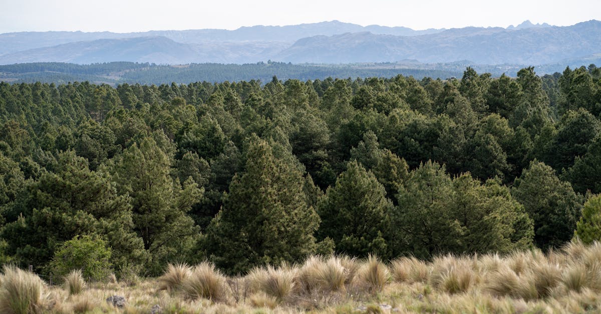 Ameaças avançadas no ecossistema JavaScript: como proteger seu ambiente de desenvolvimento contra ataques de hackers vinculados à Coreia do Norte